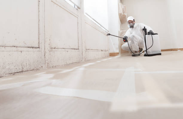 24/7 Emergency Attic Mold Removal experts in Winchester, VA